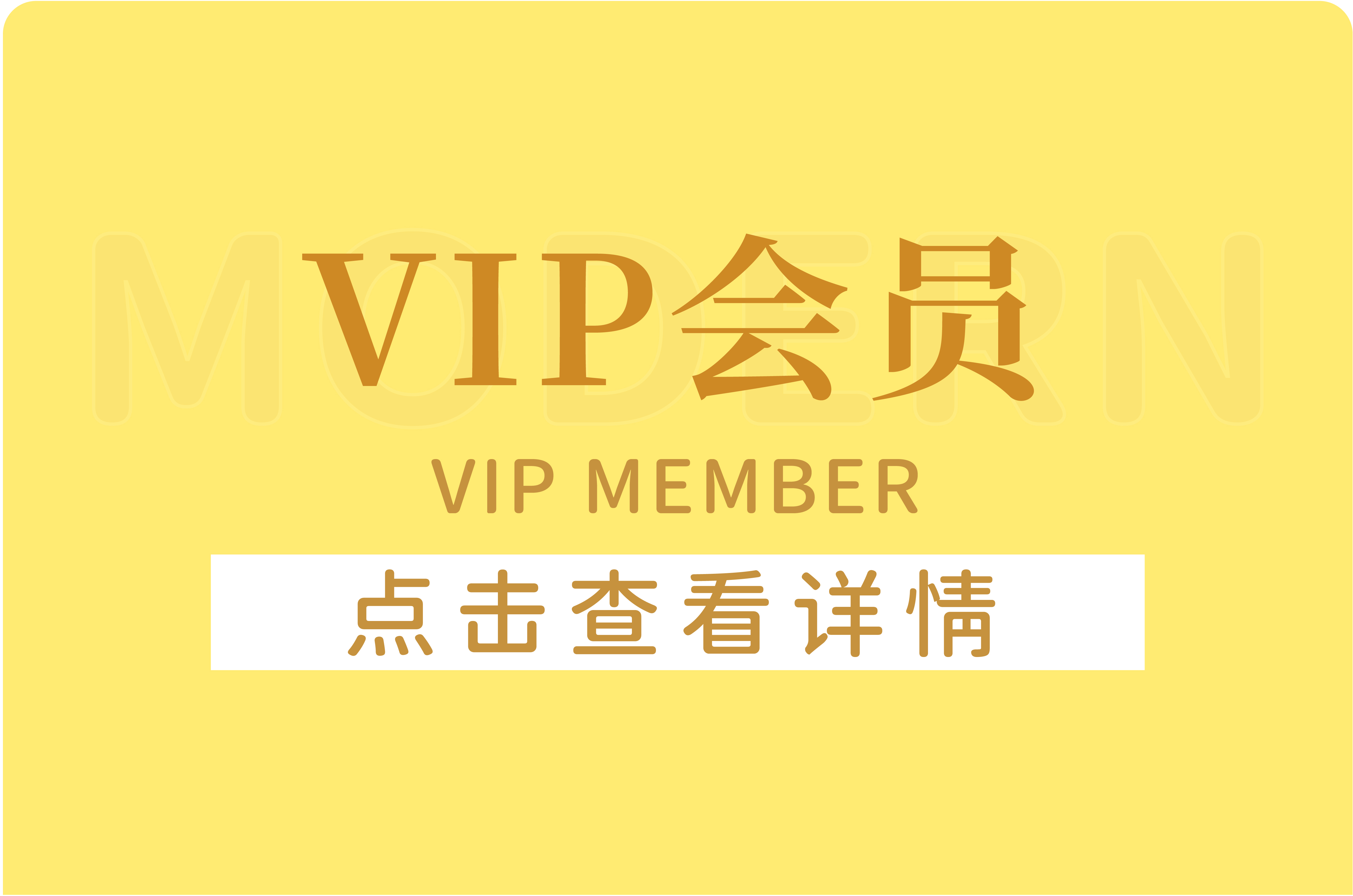 VIP会员