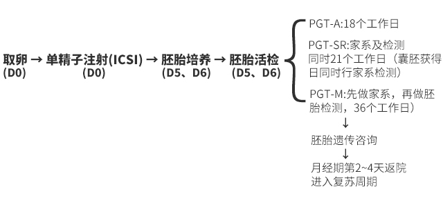2025-3-生殖科三代-流程图